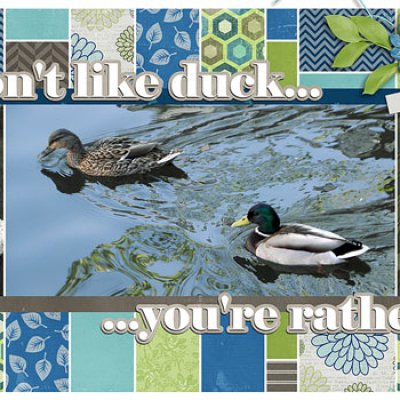 If you don't like duck...