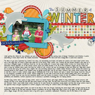 The Summer of Winter