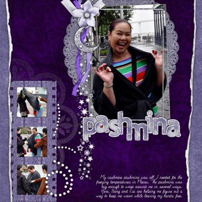 My Pashmina