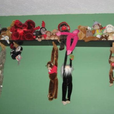 Monkey Menagerie - original color photo
