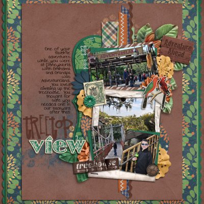 treetop view