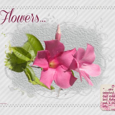 Flowers...