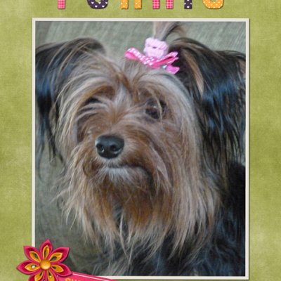 Pennie