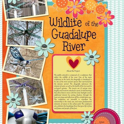 Wildlife of the Guadalupe River