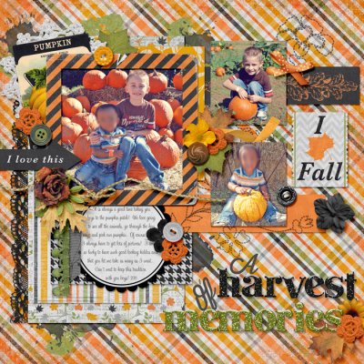 Harvest Memories
