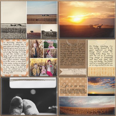 Project Life- Week 41 (right)