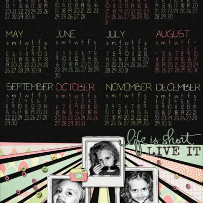 2013 calendars