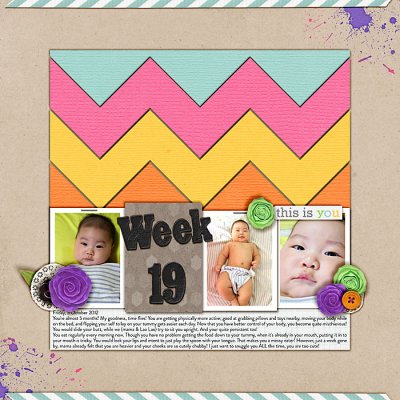 Week 19
