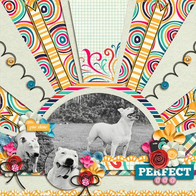 Perfect Dog