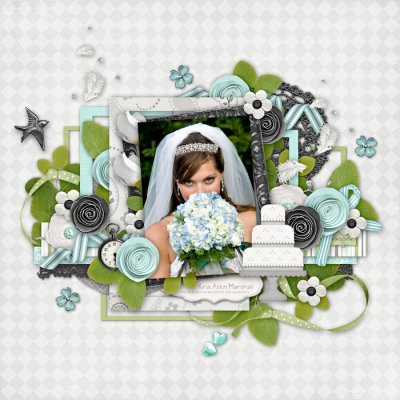 Beautiful Bride