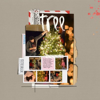 Tree 2011