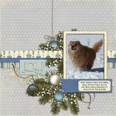 Bear, Joy of Snow