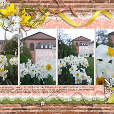 A daffodil photo orgy