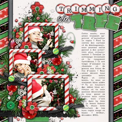 IFasquelle_Trimming_the_Tree