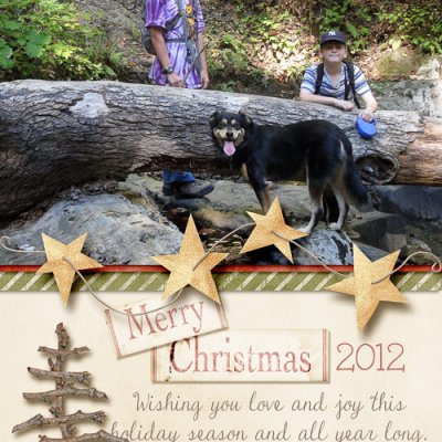 Christmas card 2012