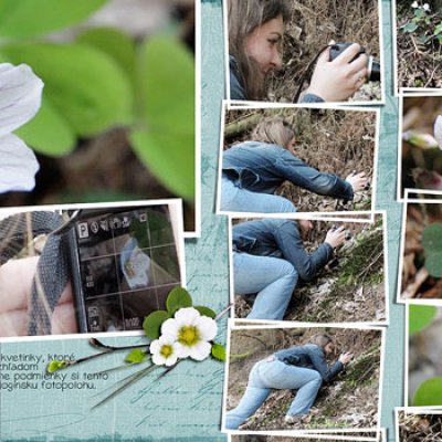 A photo exercise