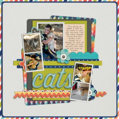 cats