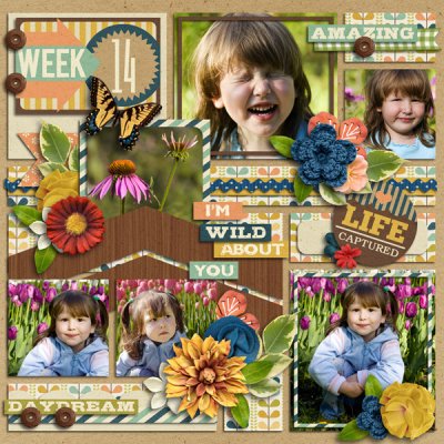 WILD about YOU