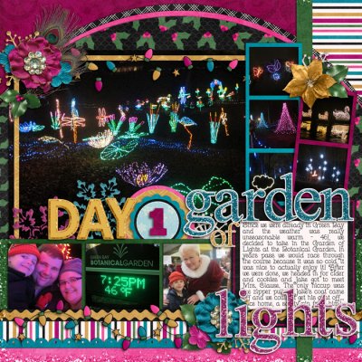 2012 Dec Day garden of lights