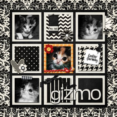 Gizmo