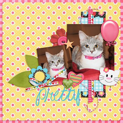 Pretty Kitty