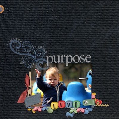 Purpose:Live