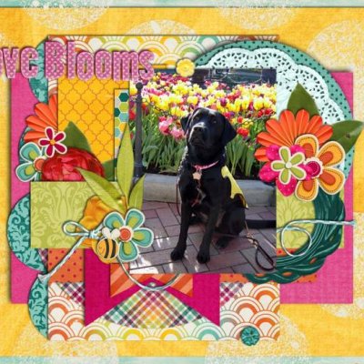 Love Blooms