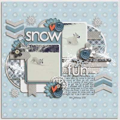 Snow Fun