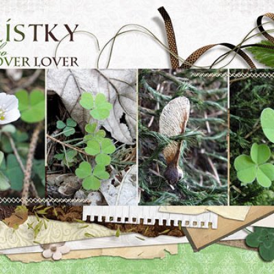Clover lover