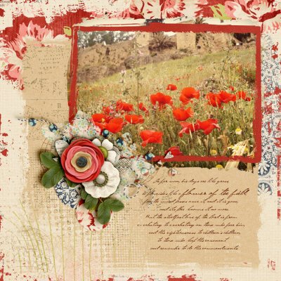 Like Wildflowers