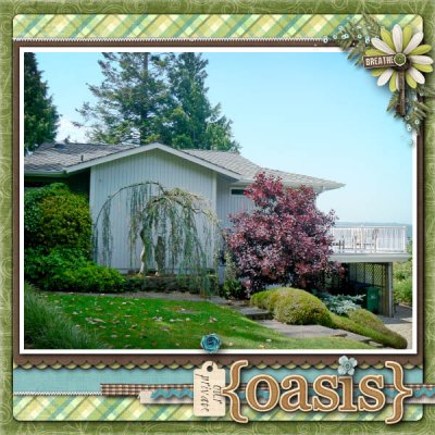 Our Oasis