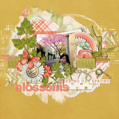 spring blossoms