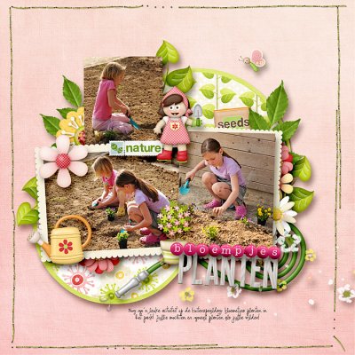 Planting flowers