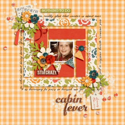 Cabin Fever