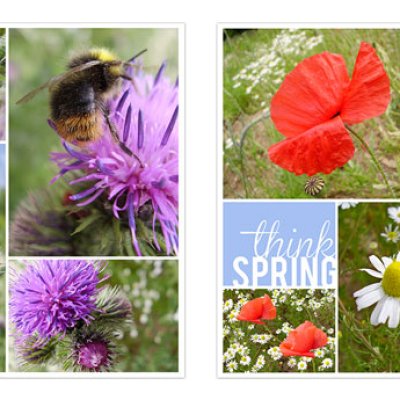 Think spring
