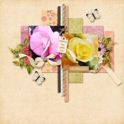 In Bloom