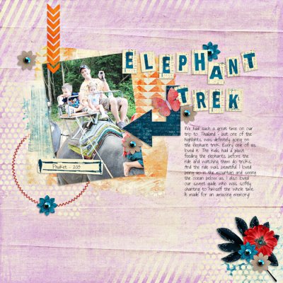elephant trek