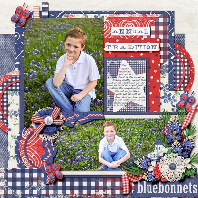 Bluebonnets-Annual Tradition (left side)