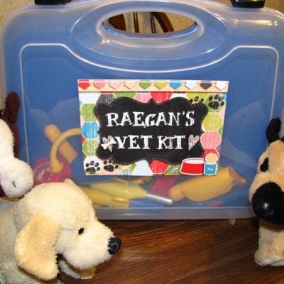Vet Bag