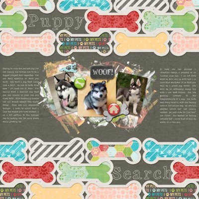 Puppy Search