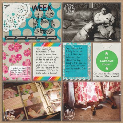 Project 2013- Week 15- left
