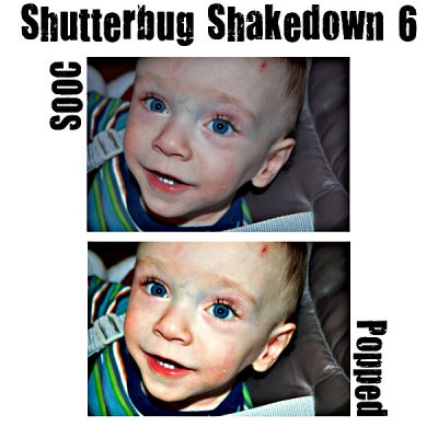 Shutterbug Shakedown 6