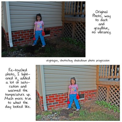 Shutterbug Photo Progression