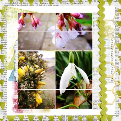 flowers