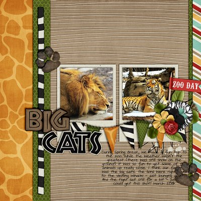 Big Cats