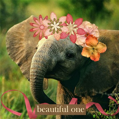 Pimp my Pachyderm