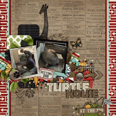 Turtle House