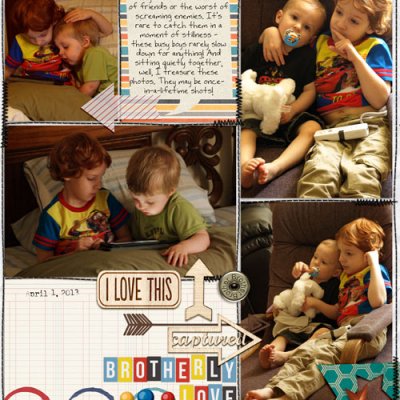Project Life insert Brotherly Love