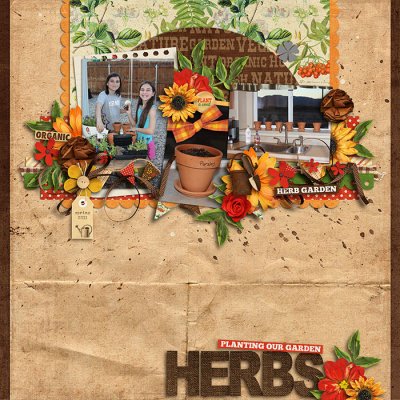 Herb Garden