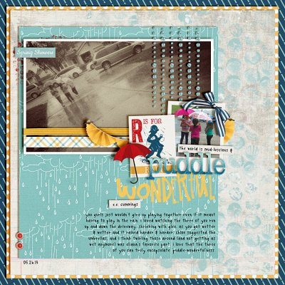 Puddle-Wonderful